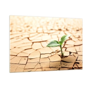 Obraz na szkle - Młoda roślina wyrastająca z suchej, spękanej ziemi - 120x80cm - Nieposkromiona siła życia - Nowoczesna dekoracja ścienna do salonu, kuchni i sypialni ARTTOR