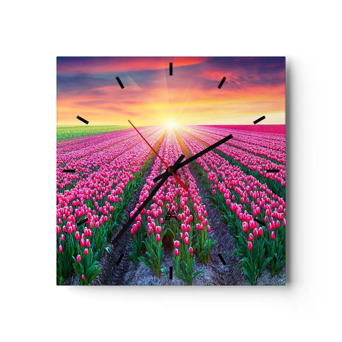 Zegar ścienny - Pole tulipanów o zachodzie słońca - 30x30cm - Farma piękności - Nowoczesna dekoracja ścienna do salonu i sypialni ARTTOR