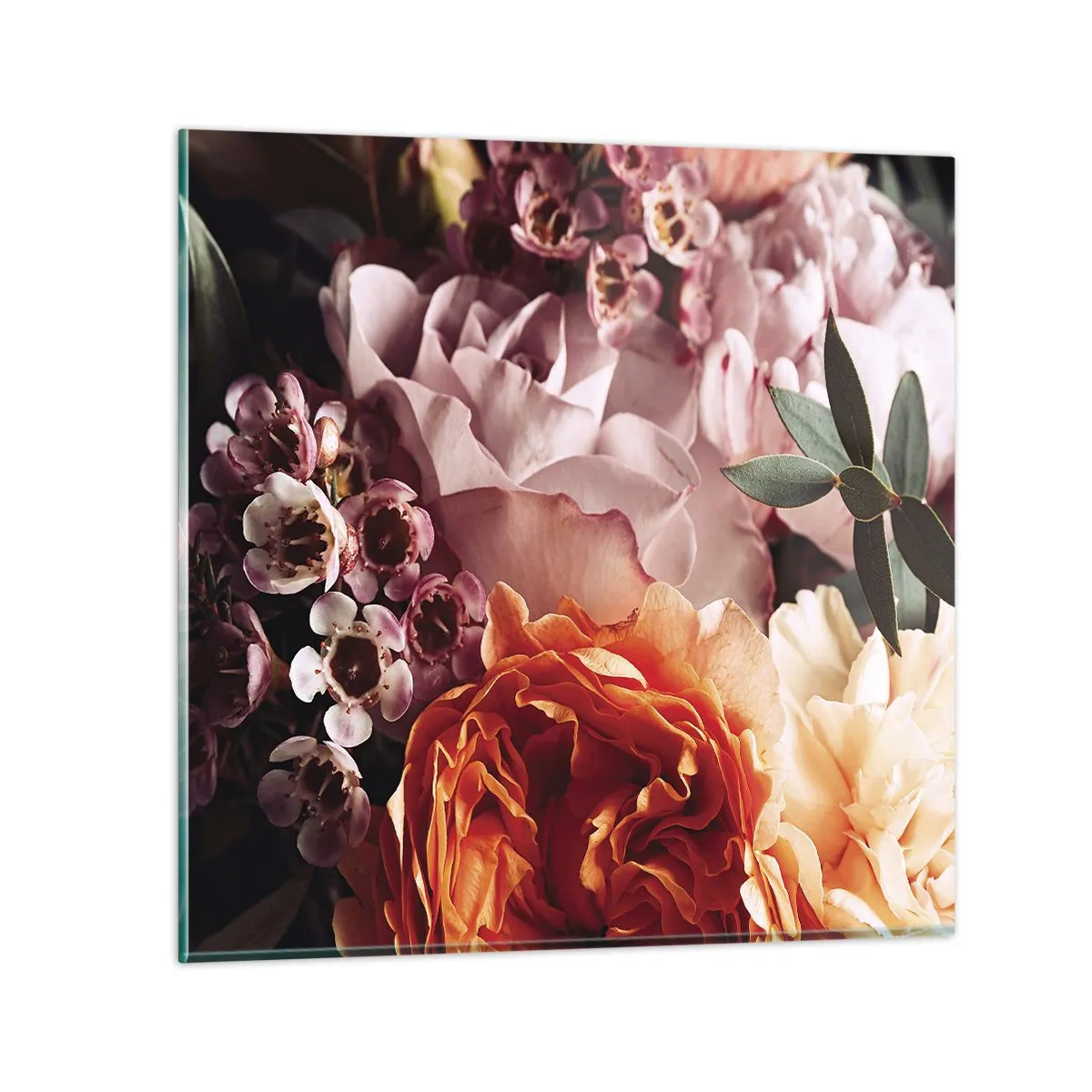 Obraz na szkle - Otulone pięknem - 50x50 cm