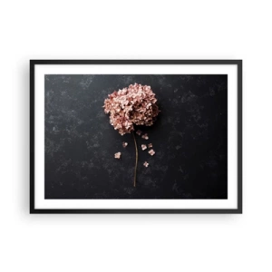 Plakat w czarnej ramie - Delikatny kwiat hortensji na ciemnym tle - 70x50cm - Prawdziwie romantyczny znak - Nowoczesna dekoracja ścienna do salonu i sypialni ARTTOR