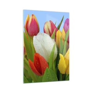 Obraz na szkle - Kolorowe tulipany pokryte kroplami rosy na tle błękitu - 50x70cm - Kwiatowa tęcza w kroplach rosy - Nowoczesna dekoracja ścienna do salonu, kuchni i sypialni ARTTOR