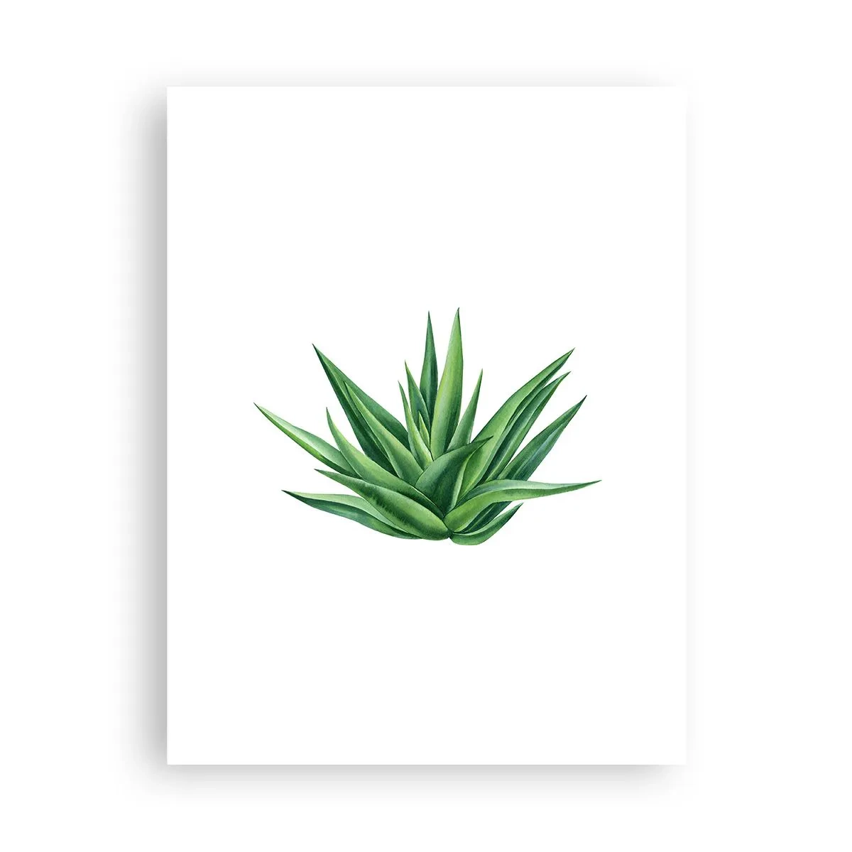Plakat - Zieleń – siła – życie - 30x40 cm