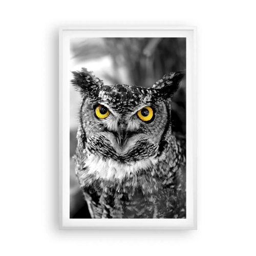 Plakat w białej ramie - Nic się nie ukryje - 61x91 cm