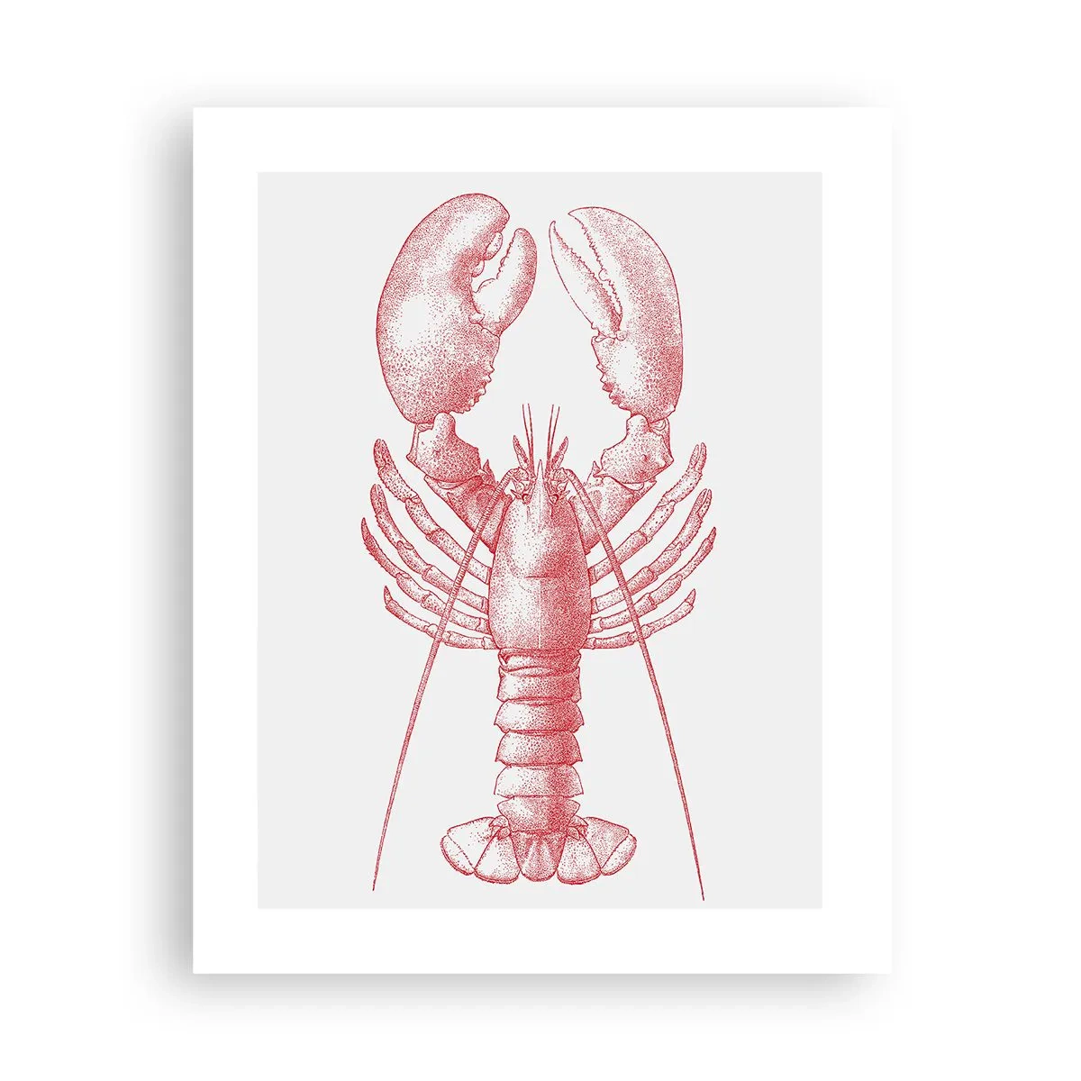 Plakat - Homar godny Homera - 40x50 cm