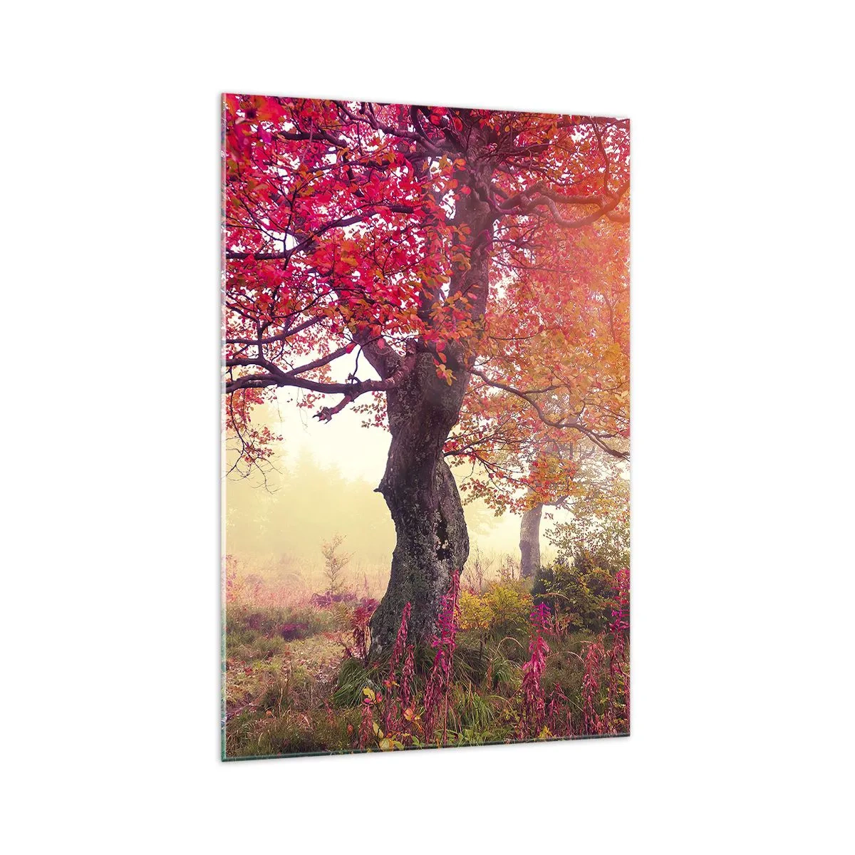 Obraz na szkle - Jesienny krajobraz z drzewami w intensywnych kolorach - 70x100cm - Szał rozkwitu - Nowoczesna dekoracja ścienna do salonu i sypialni ARTTOR