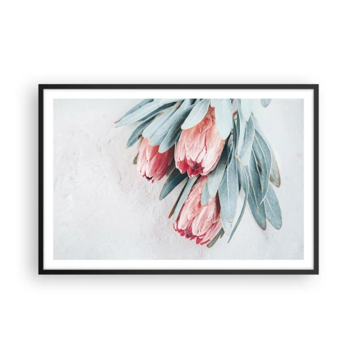 Plakat w czarnej ramie - Zawstydzone własną urodą - 91x61 cm