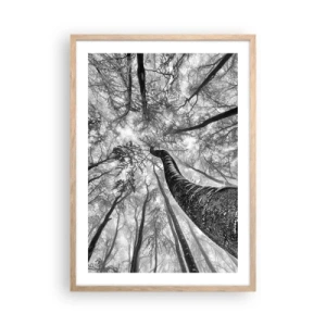 Plakat w ramie jasny dąb - Wyścig do światła - 50x70 cm