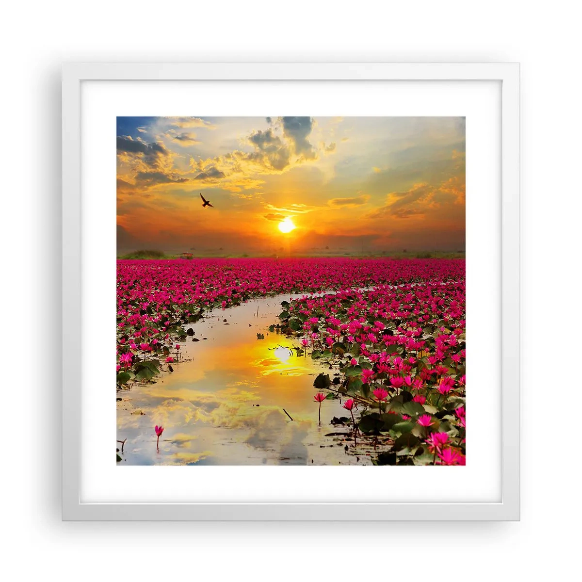 Plakat w białej ramie - Tajemne życie jeziora - 40x40 cm