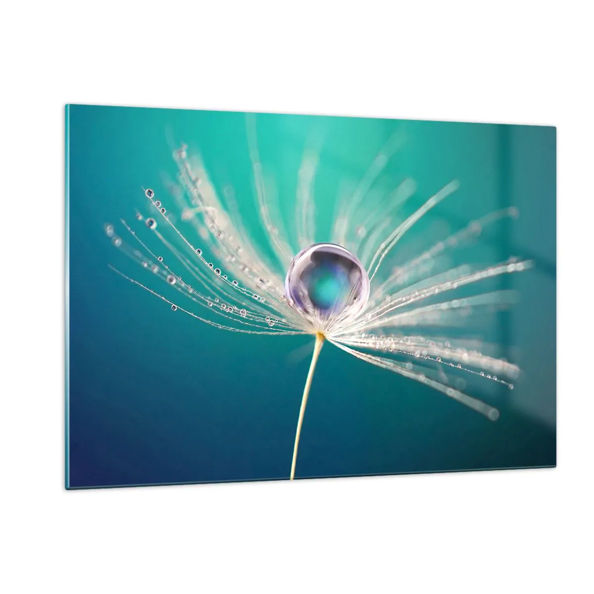 Obraz na szkle - Makrofotografia nasionka dmuchawca z kroplą rosy na turkusowym tle - 120x80cm - Mistyczna chwila - Nowoczesna dekoracja ścienna do salonu, kuchni i sypialni ARTTOR