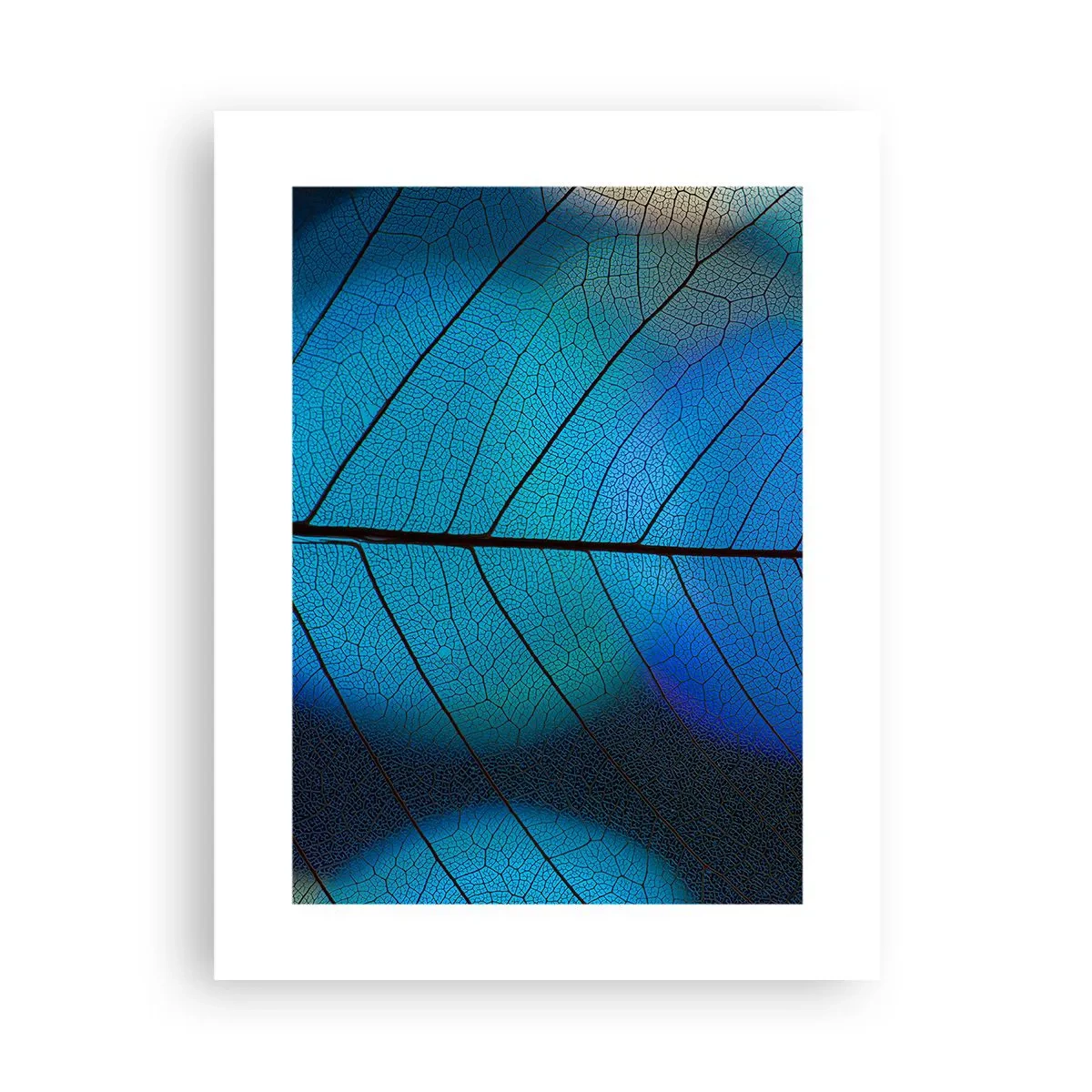 Plakat - Misterna budowa - 30x40 cm