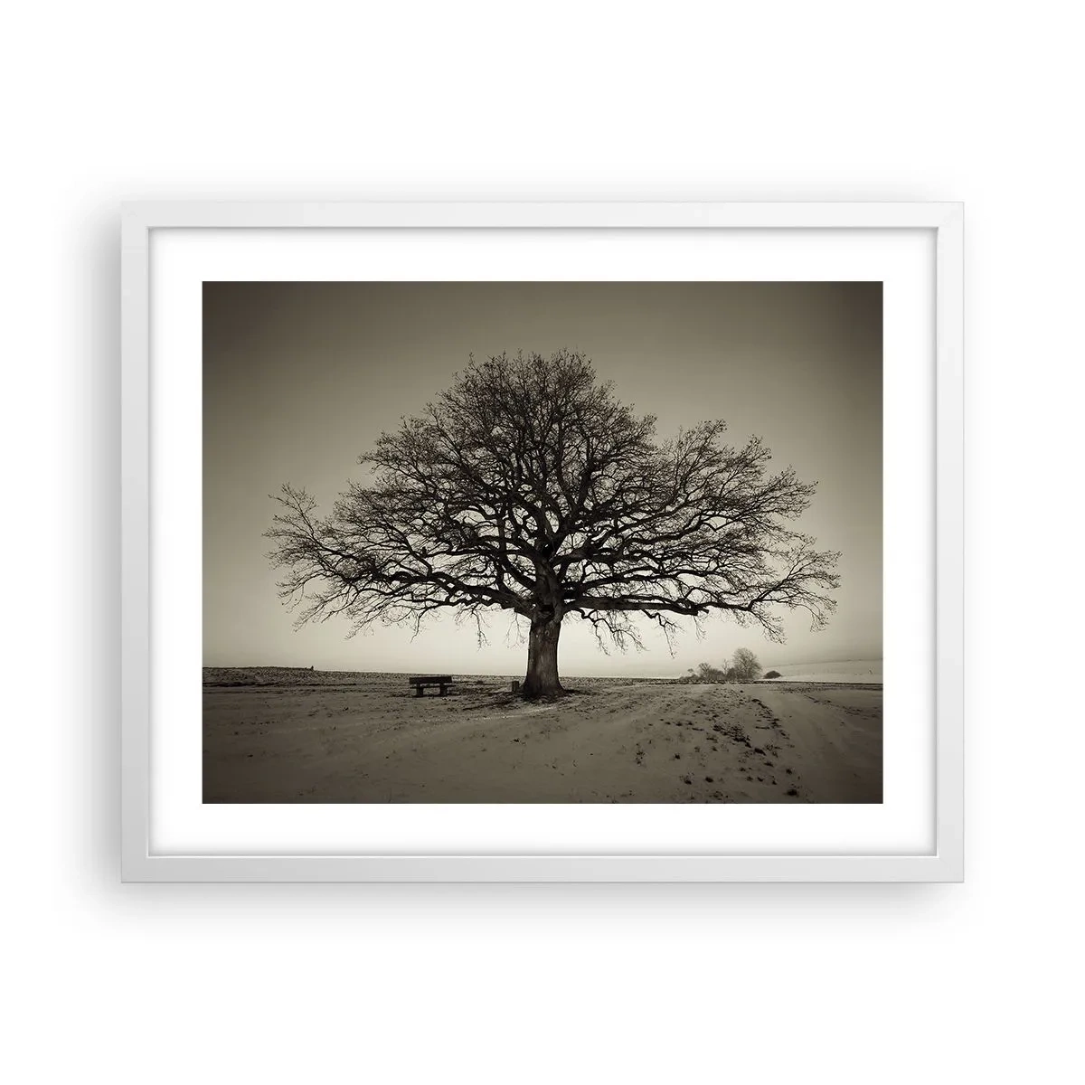 Plakat w białej ramie - Stąd do wieczności - 50x40 cm