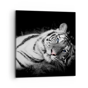 Obraz na płótnie - Dzikość i spokój - 70x70 cm