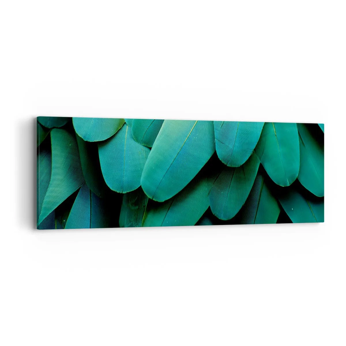 Obraz na płótnie - Precyzja papuziej natury - 90x30 cm