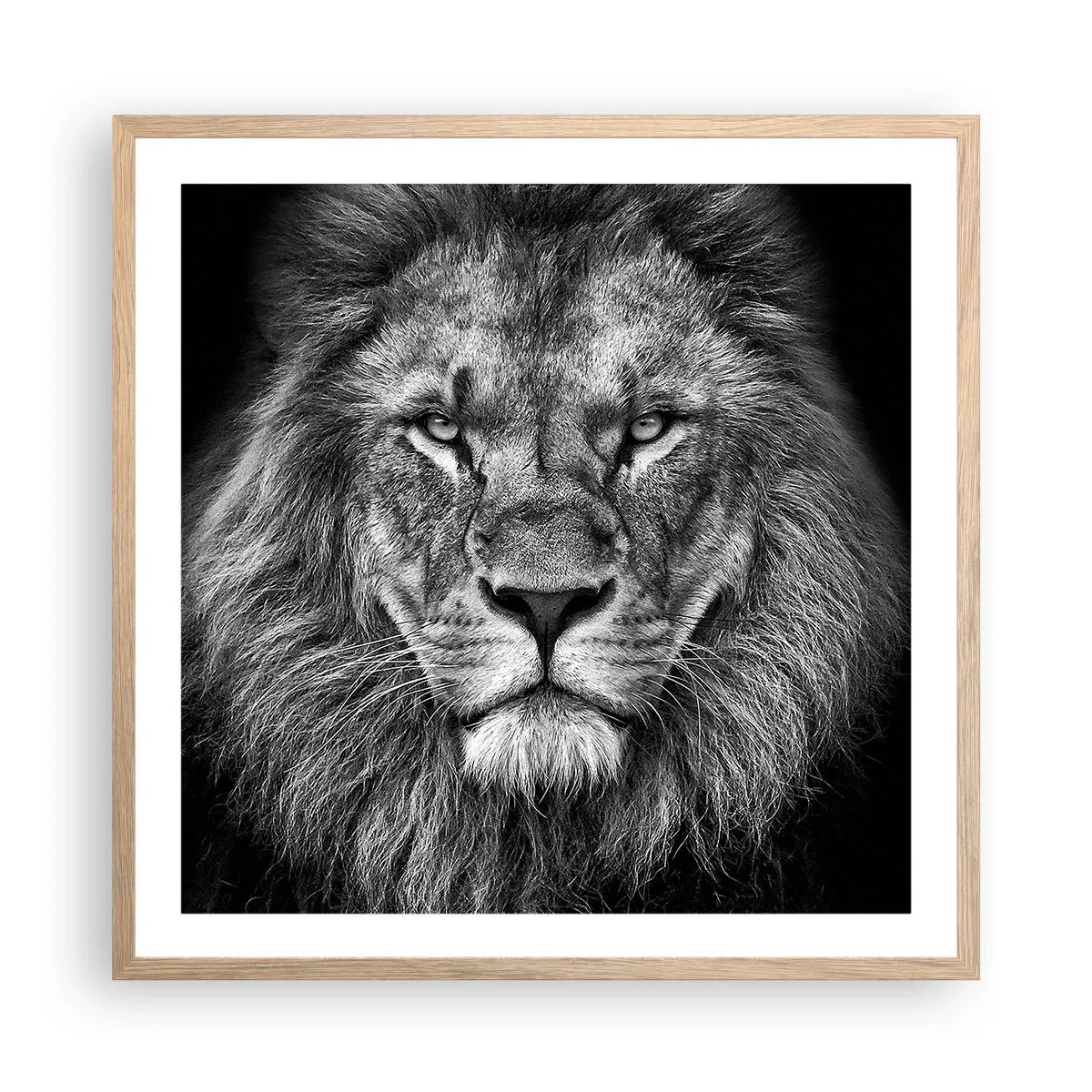 Plakat w ramie jasny dąb - W stroju koronacyjnym - 60x60 cm