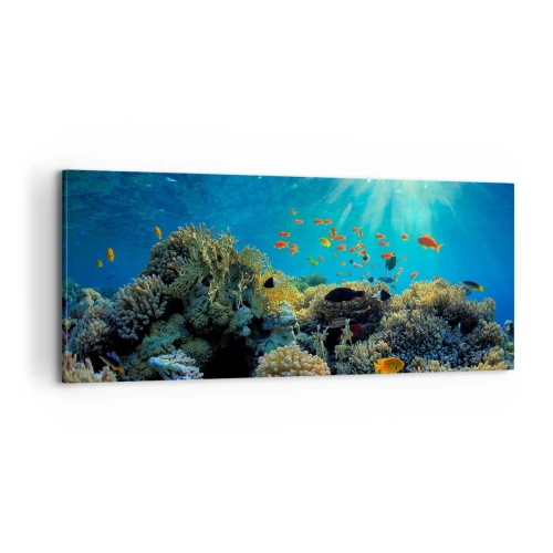 Obraz na płótnie - Podwodne skarby - 100x40 cm