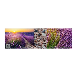 Fototapeta Próbka Premium Sand - Pachnący łan - Krajobraz, Pole Lawendy, Prowansja - 100x30 cm
