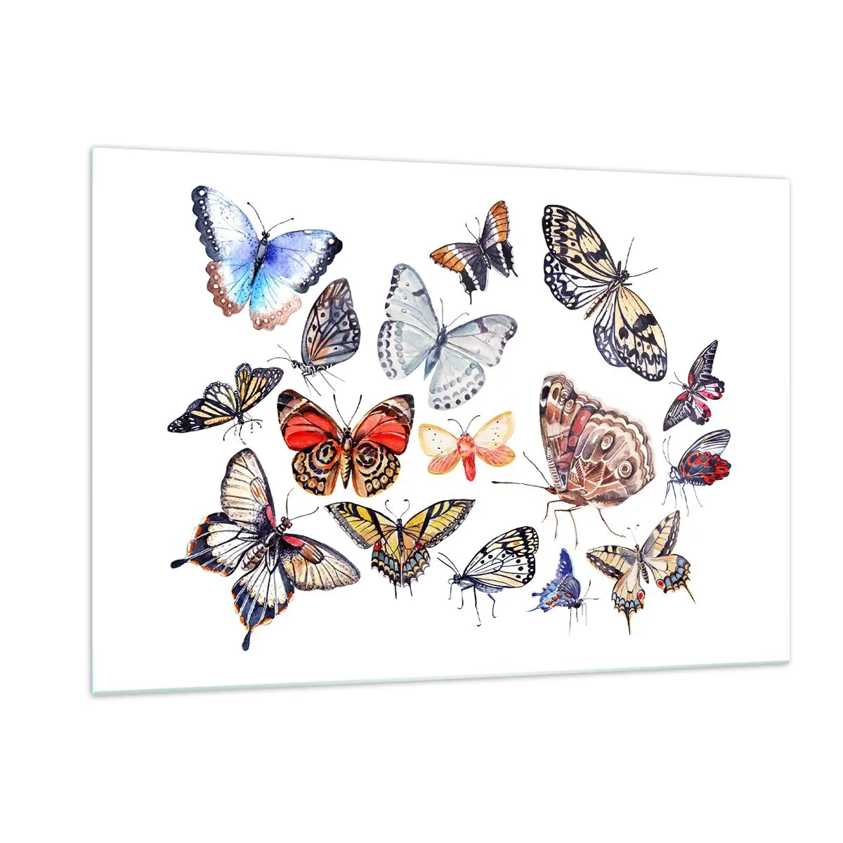 Obraz na szkle - Kolorowe motyle w artystycznej kompozycji - 120x80cm - Koronkowy, barwny rój - Nowoczesna dekoracja ścienna do salonu, kuchni i sypialni ARTTOR