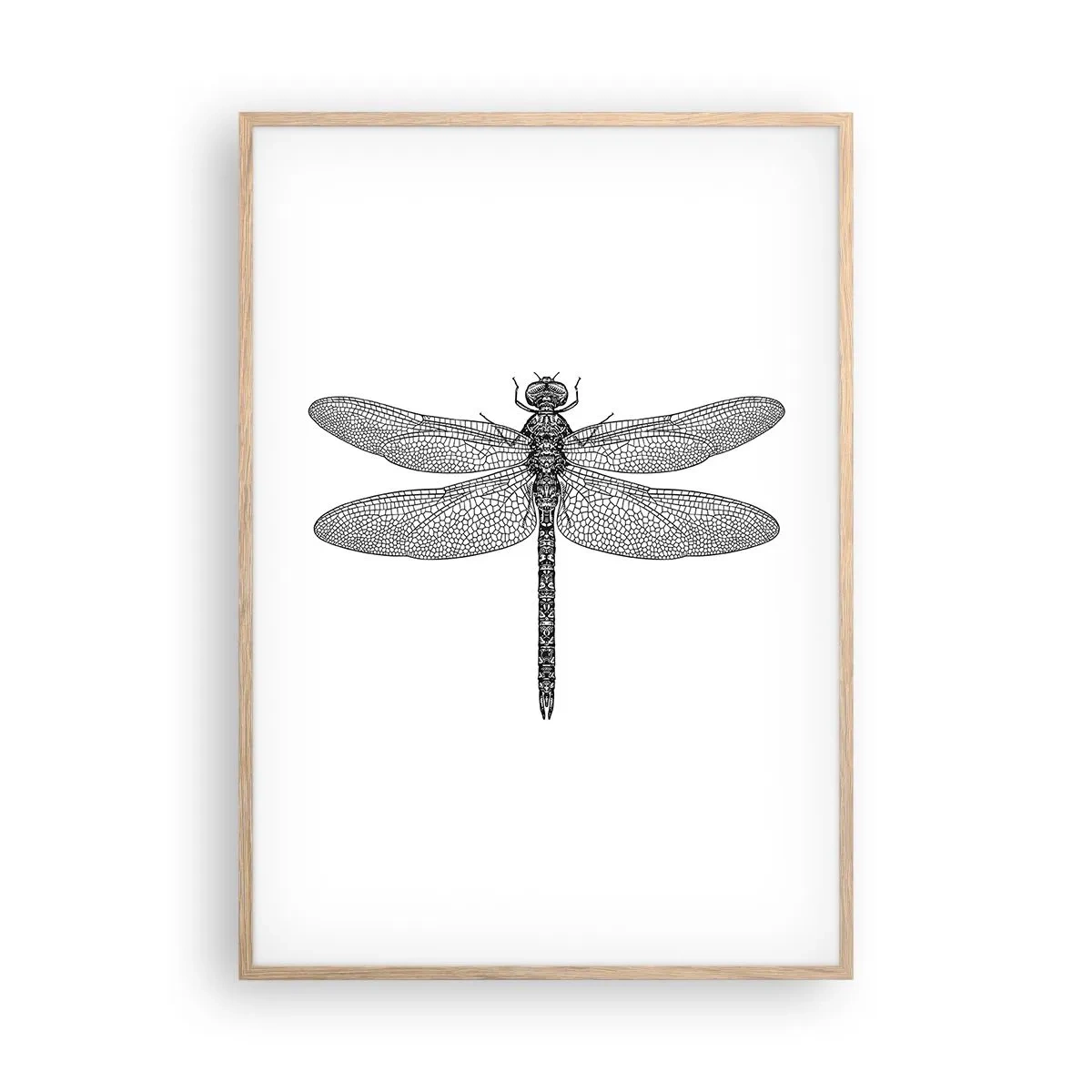 Plakat w ramie jasny dąb - Precyzja natury - 70x100 cm