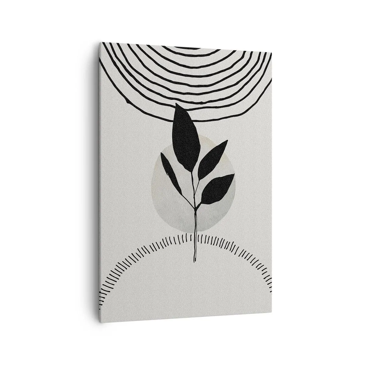 Obraz na płótnie - Minimalistyczna ilustracja rośliny z geometrycznymi elementami w czerni i bieli - 70x100cm - Kompozycja: rytuały natury - Nowoczesna dekoracja ścienna do salonu i sypialni ARTTOR