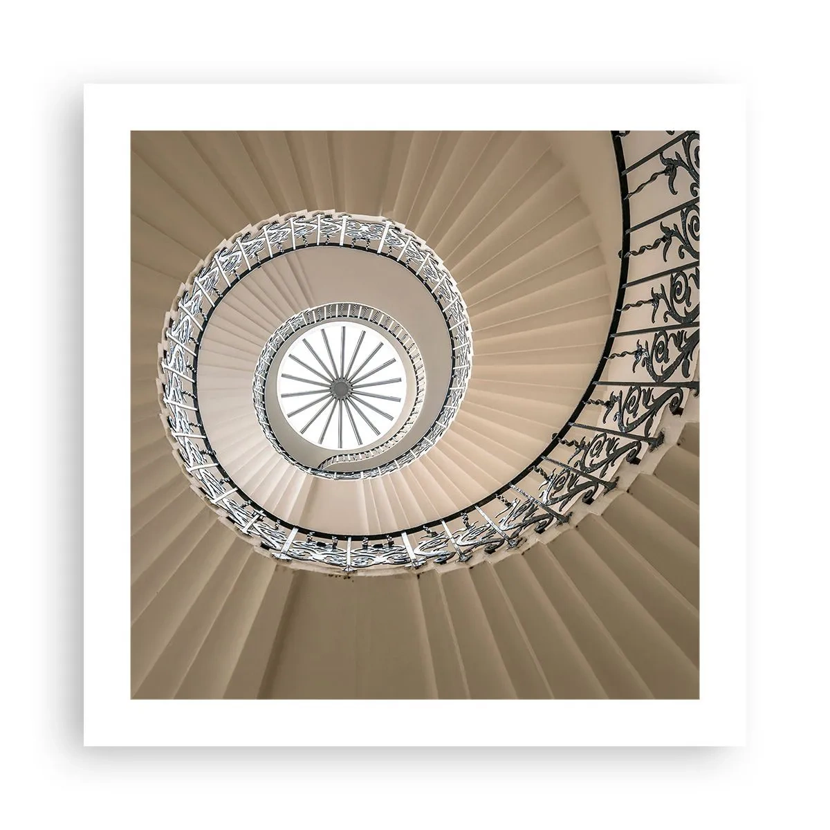 Plakat - W środku muszli - 50x50 cm