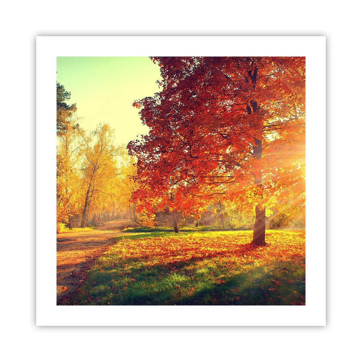 Plakat - Rude jest piękne - 50x50 cm