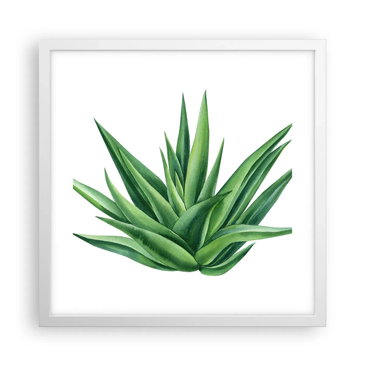 Plakat w białej ramie - Zieleń – siła – życie - 40x40 cm