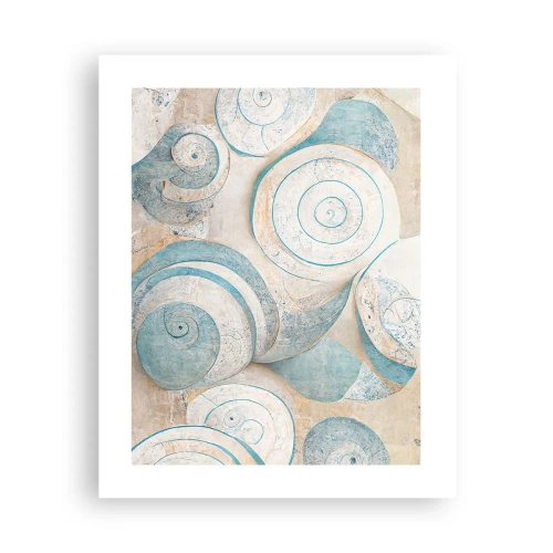 Plakat - Co kryje muszla? - 40x50 cm