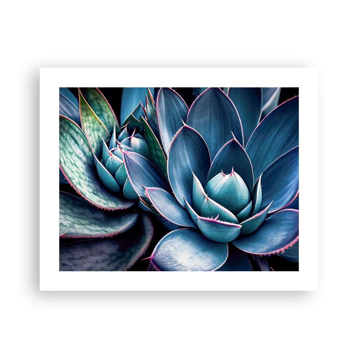 Plakat - Witalna siła - 50x40 cm