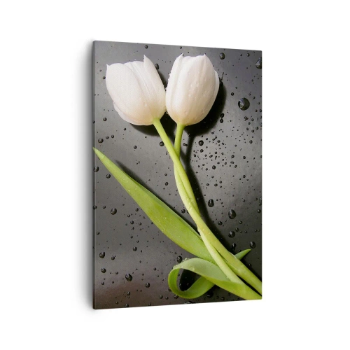 Obraz na płótnie - Białe tulipany na mokrej czarnej powierzchni - 50x70cm - Wiosenny splot - Nowoczesna dekoracja ścienna do salonu, kuchni i sypialni ARTTOR