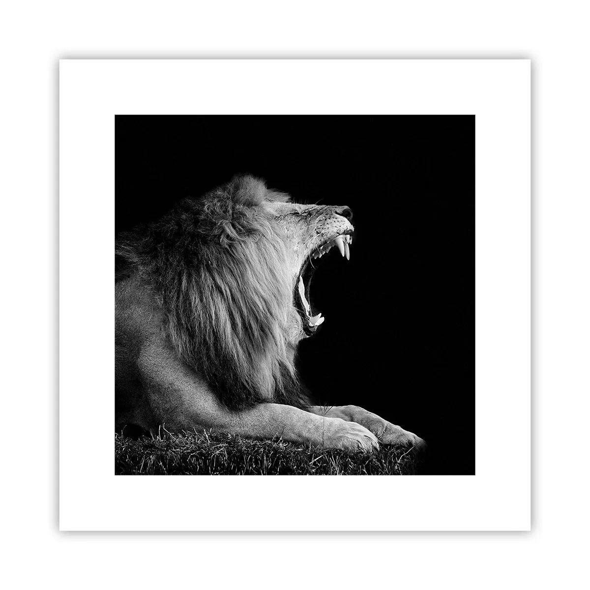 Plakat - Bez żadnych wątpliwości - 30x30 cm