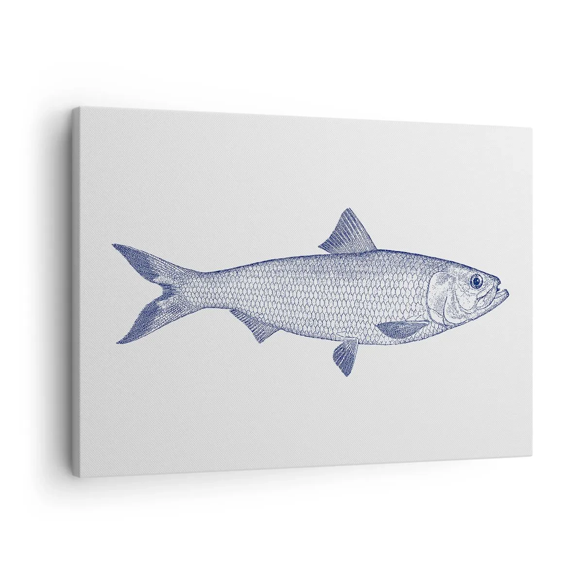 Obraz na płótnie - Ilustracja ryby w odcieniach niebieskiego na jasnym tle - 70x50cm - Pozdrowienia z północnych mórz - Nowoczesna dekoracja ścienna do salonu i sypialni ARTTOR