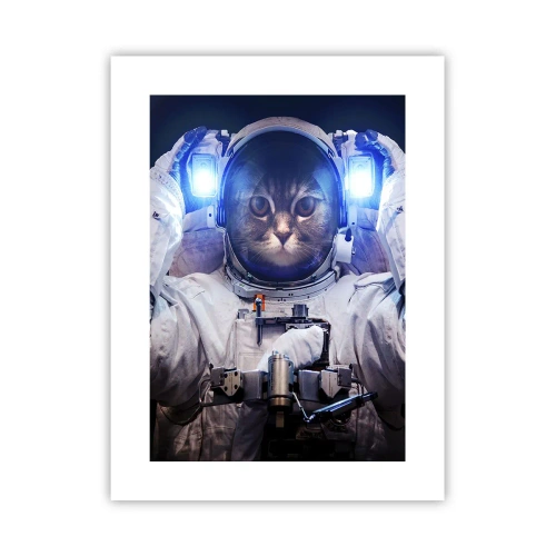 Plakat - Houston, macie problem - 30x40 cm