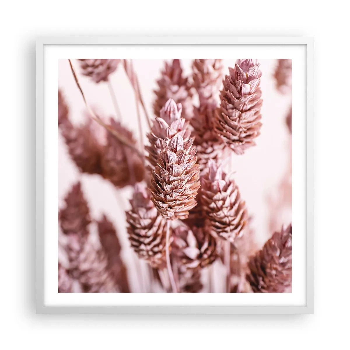 Plakat w białej ramie - Z pozoru niepozorne - 60x60 cm