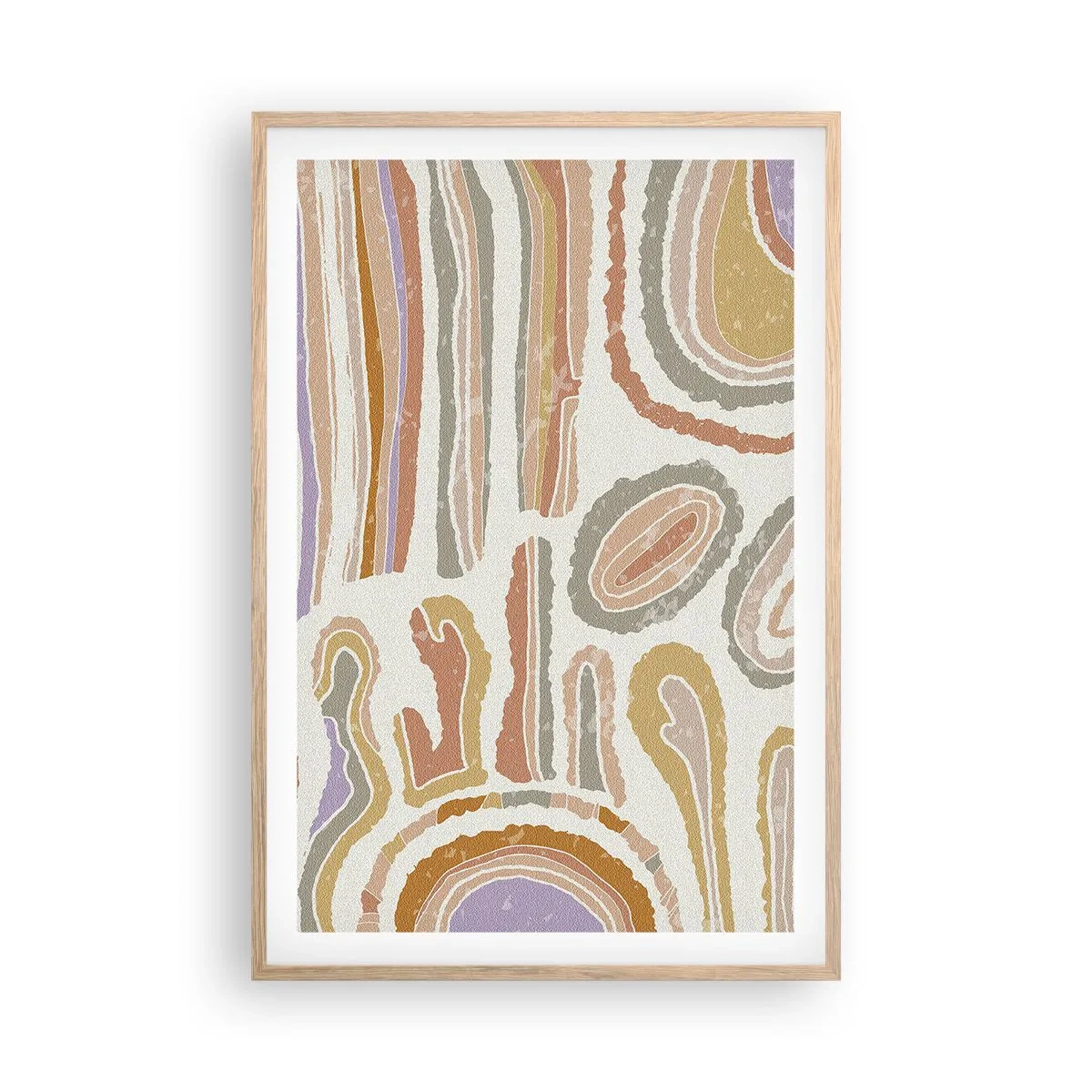 Plakat w ramie jasny dąb - Barwne przekroje - 61x91 cm
