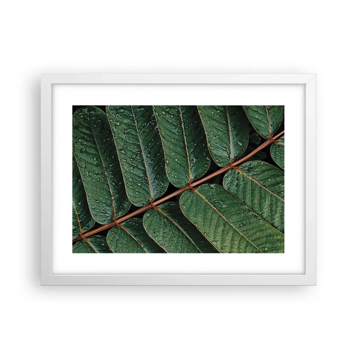 Plakat w białej ramie - W zielonym rytmie - 40x30 cm