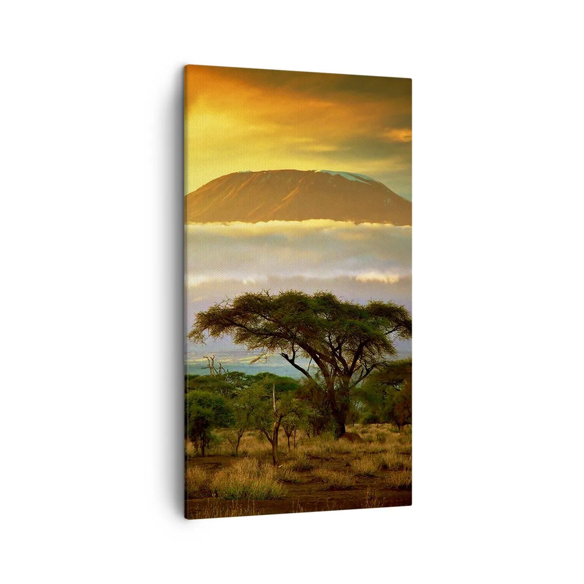 Obraz na płótnie - Sen podróżnika - 45x80 cm