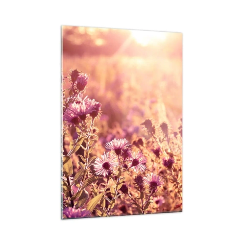 Obraz na szkle - Fioletowe kwiaty na łące w świetle zachodzącego słońca - 50x70cm - Przed odejściem lata - Nowoczesna dekoracja ścienna do salonu, kuchni i sypialni ARTTOR