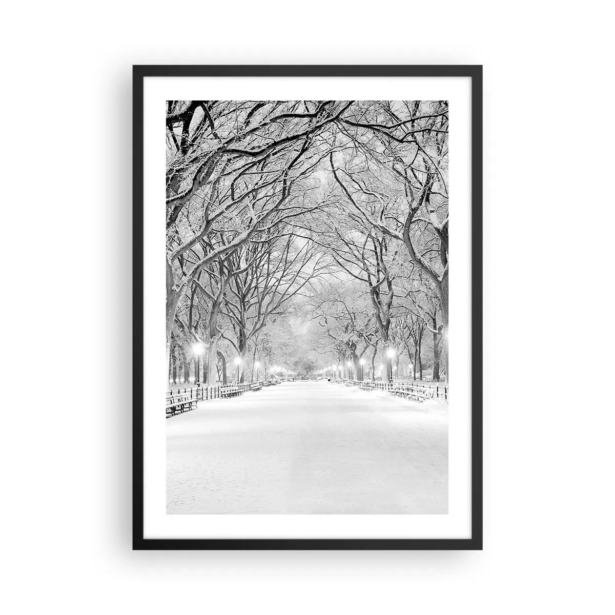 Plakat w czarnej ramie - Zimowa aleja drzew pokryta śniegiem w parku - 50x70cm - Cztery pory roku – zima - Nowoczesna dekoracja ścienna do salonu i sypialni ARTTOR