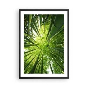 Plakat w czarnej ramie - Widok w górę na gęsty las bambusowy - 50x70cm - W bambusowym gaju - Nowoczesna dekoracja ścienna do salonu i sypialni ARTTOR
