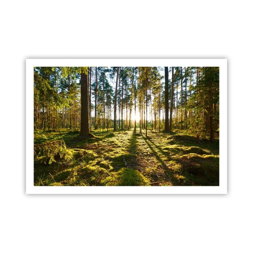 Plakat - …Za siedmioma lasami - 91x61 cm