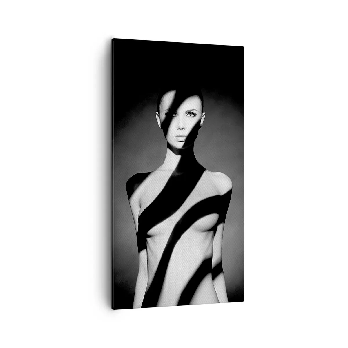 Obraz na płótnie - W blasku i w cieniu - 55x100 cm