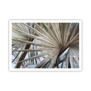 Plakat - Liście palmowe w naturalnych odcieniach zieleni na zbliżeniu - 100x70cm - Wachlarze w tropikach - Nowoczesna dekoracja ścienna do salonu i sypialni ARTTOR