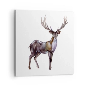 Obraz na płótnie - Król północnej puszczy - 60x60 cm