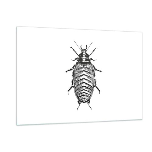 Obraz na szkle - Czarno-biała ilustracja owada na białym tle - 120x80cm - Co za okaz! - Nowoczesna dekoracja ścienna do salonu, kuchni i sypialni ARTTOR