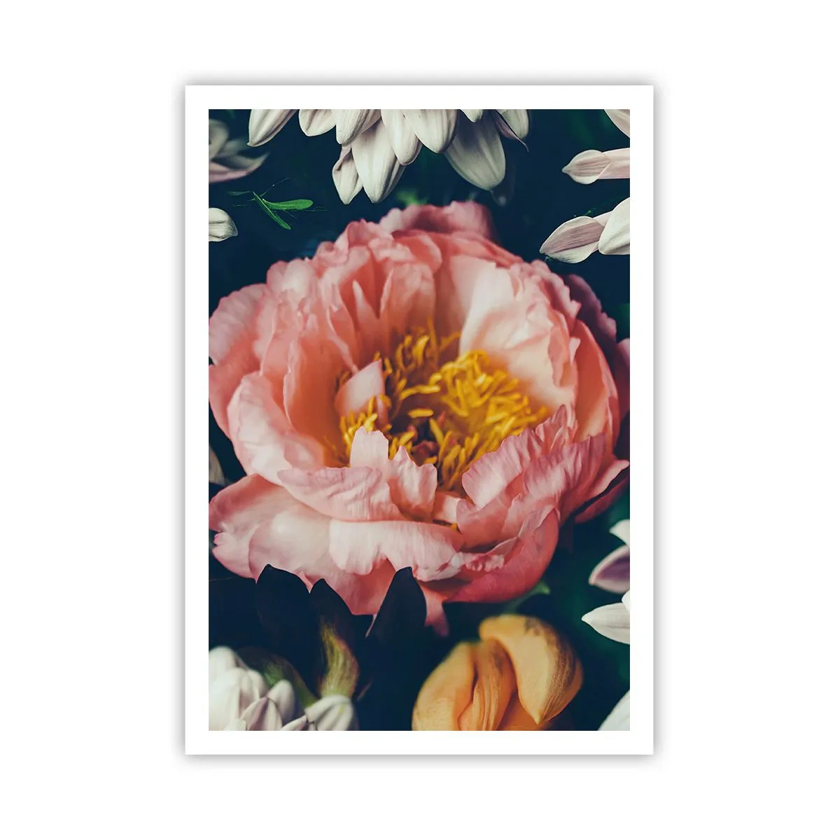 Plakat - Z barokowym przepychem - 70x100 cm