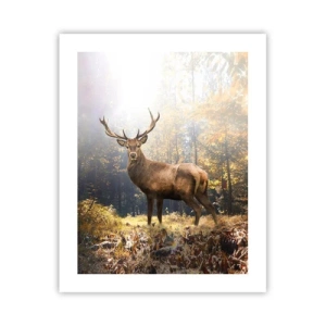 Plakat - W pełnym majestacie - 40x50 cm