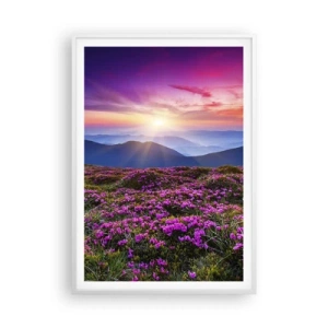 Plakat w białej ramie - Ziół zapachniały świeże pęki od niw - 70x100 cm