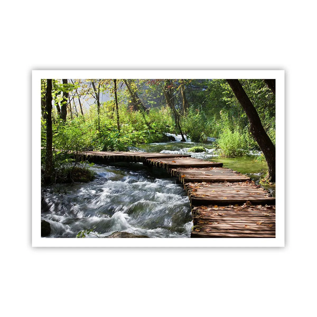 Plakat - Drewniany pomost nad rwącym strumieniem otoczony zielenią lasu. - 100x70cm - Nad pienistą kaskadą - Nowoczesna dekoracja ścienna do salonu i sypialni ARTTOR