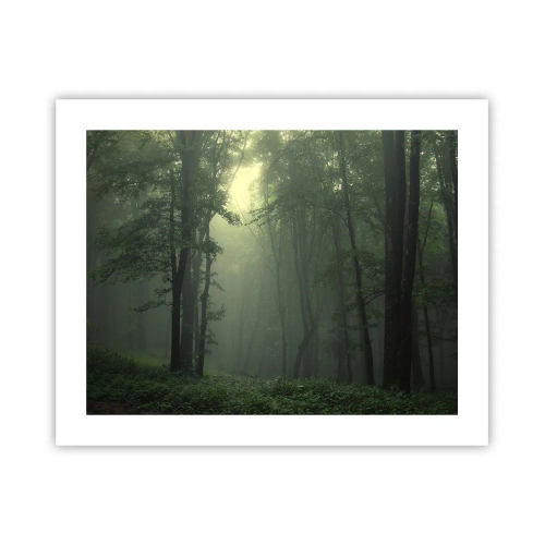 Plakat - Zanim się obudzi - 50x40 cm