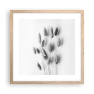 Plakat w ramie jasny dąb - Jej puszystość trawa - 40x40 cm